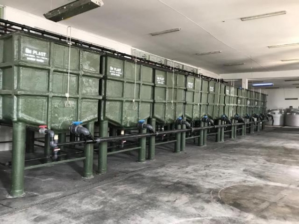 CTP Polyester Oksidasyon Tankı CTP Polyester Oksidasyon Tankı
